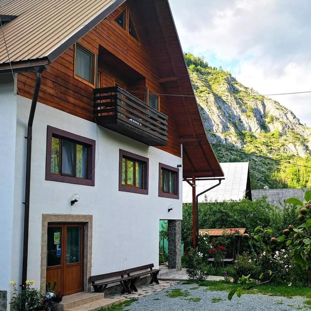 Pensiunea Piatra Mandrutului Scarisoara  Exteriér fotografie