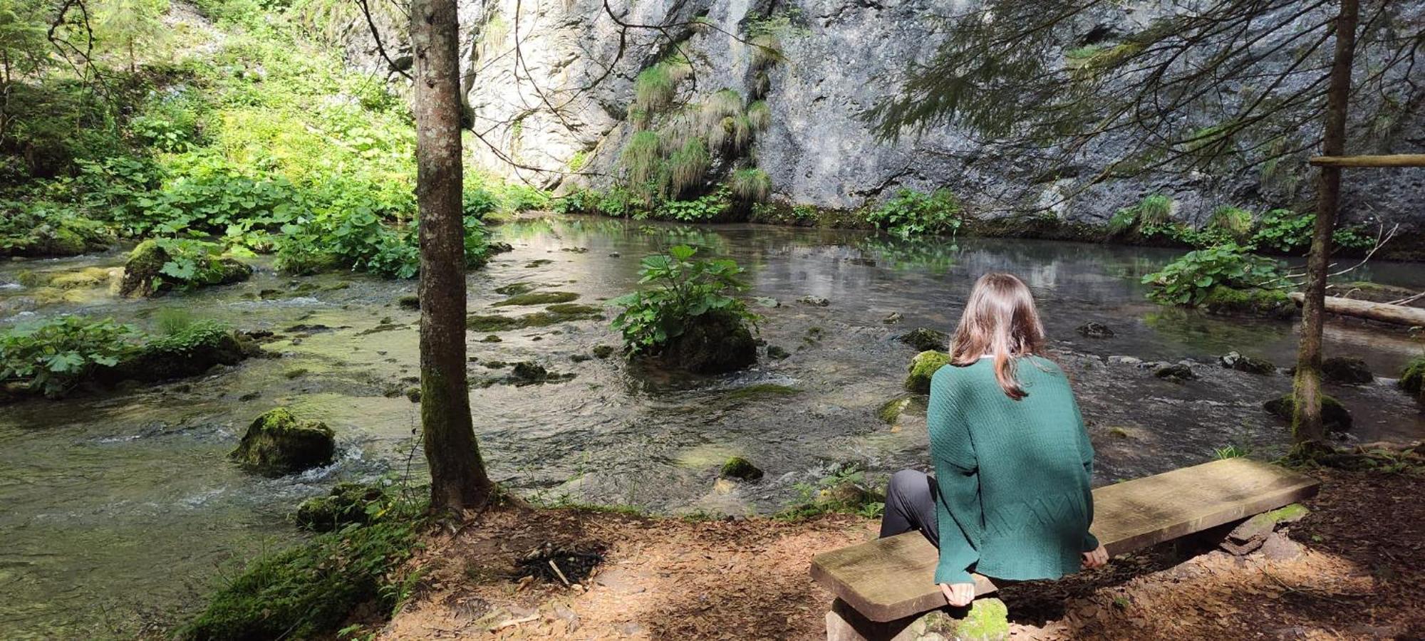 Pensiunea Piatra Mandrutului Scarisoara  Exteriér fotografie