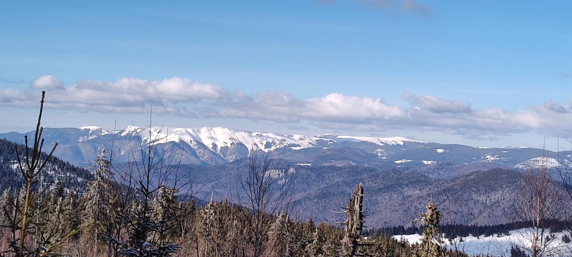 Pensiunea Piatra Mandrutului Scarisoara  Exteriér fotografie
