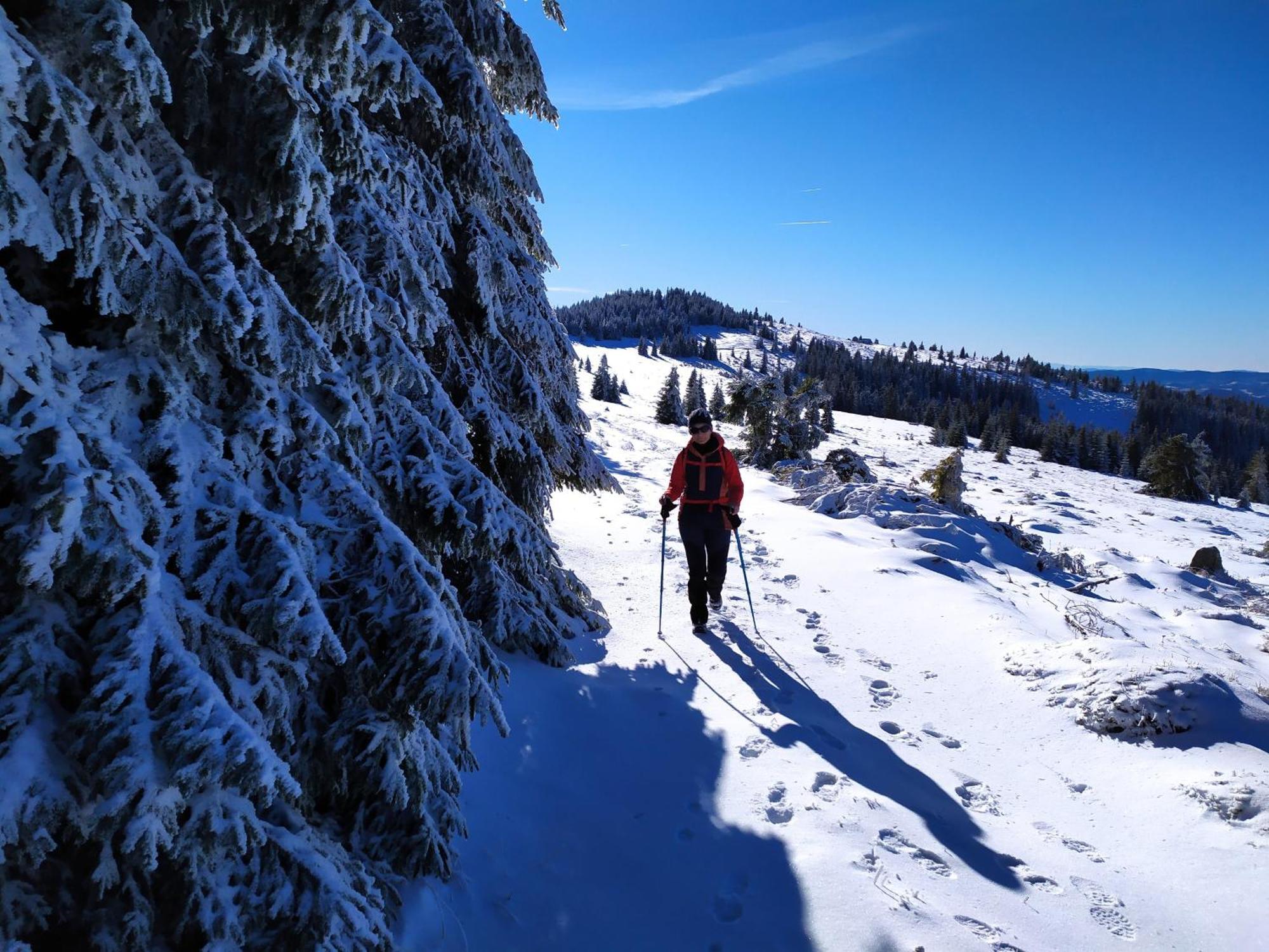 Pensiunea Piatra Mandrutului Scarisoara  Exteriér fotografie