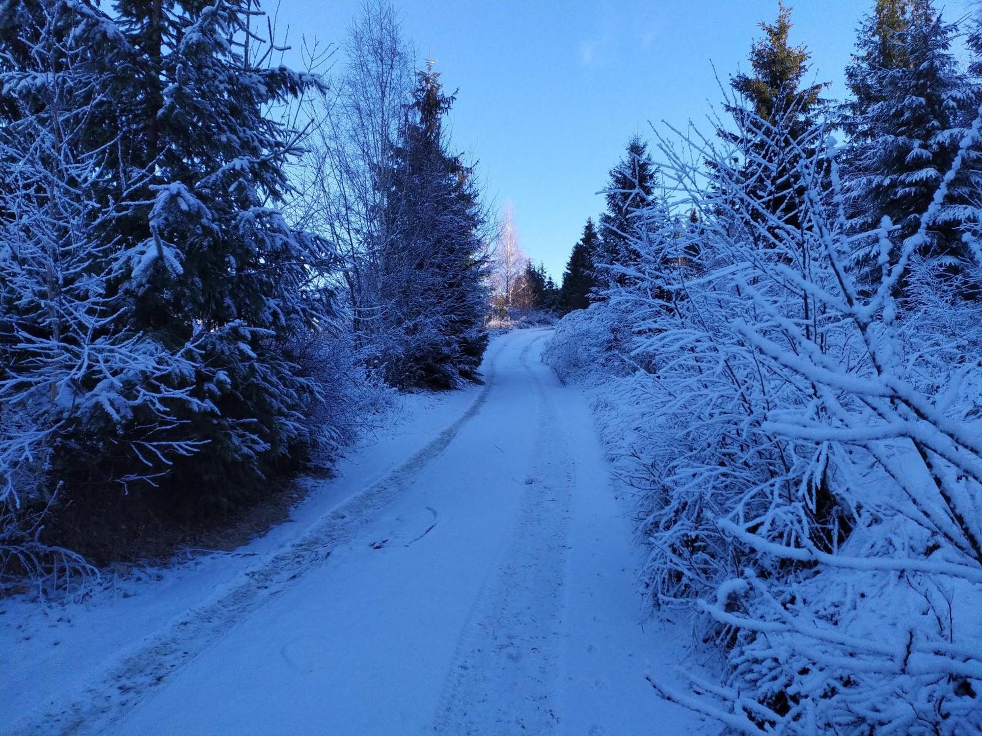 Pensiunea Piatra Mandrutului Scarisoara  Exteriér fotografie