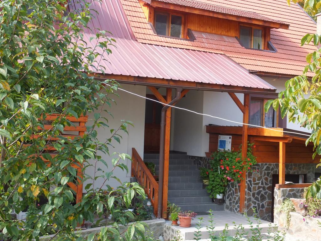 Pensiunea Piatra Mandrutului Scarisoara  Exteriér fotografie