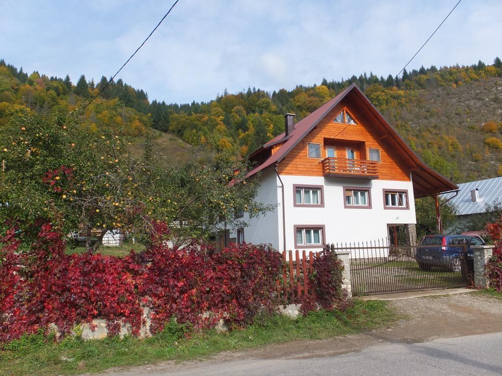 Pensiunea Piatra Mandrutului Scarisoara  Exteriér fotografie
