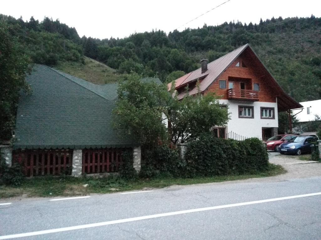 Pensiunea Piatra Mandrutului Scarisoara  Exteriér fotografie