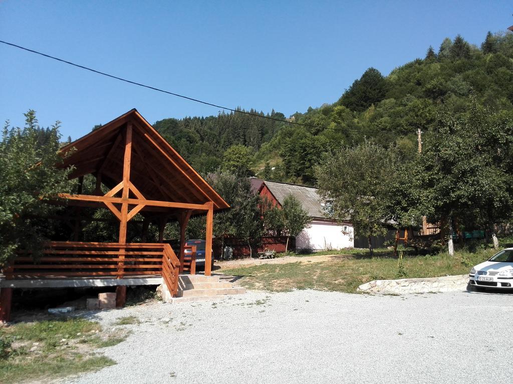 Pensiunea Piatra Mandrutului Scarisoara  Exteriér fotografie