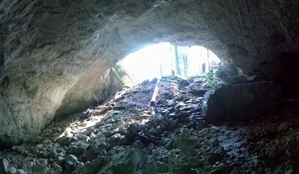 Pensiunea Piatra Mandrutului Scarisoara  Exteriér fotografie