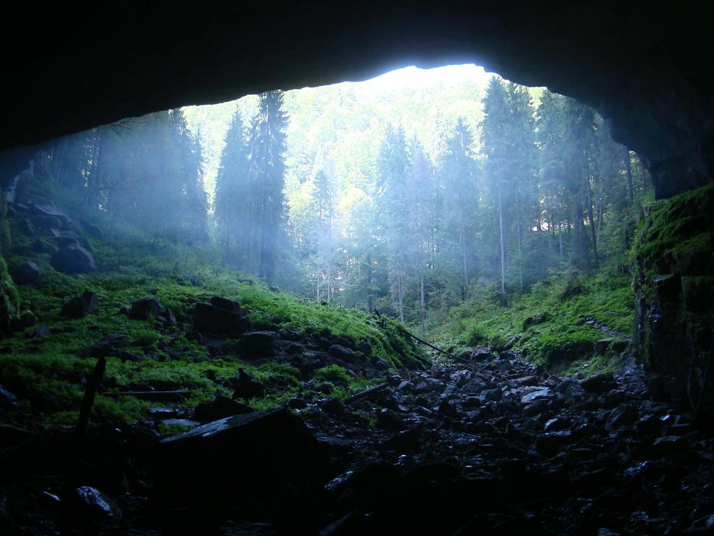 Pensiunea Piatra Mandrutului Scarisoara  Exteriér fotografie