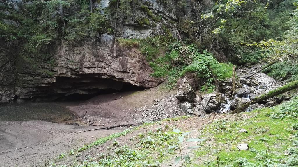 Pensiunea Piatra Mandrutului Scarisoara  Exteriér fotografie