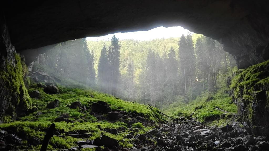 Pensiunea Piatra Mandrutului Scarisoara  Exteriér fotografie