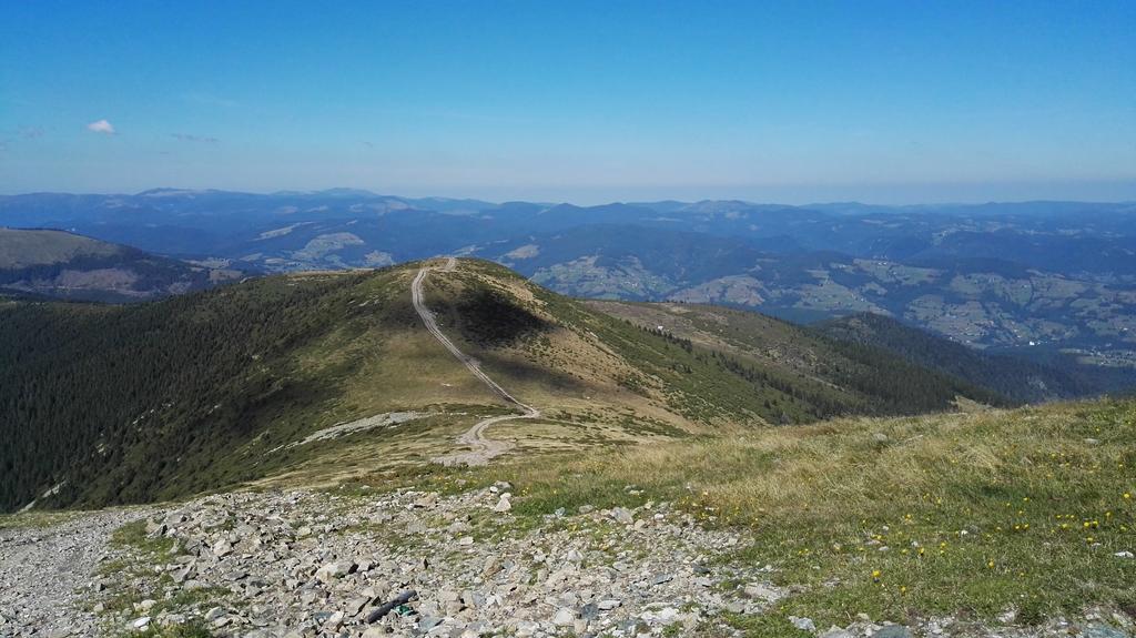 Pensiunea Piatra Mandrutului Scarisoara  Exteriér fotografie