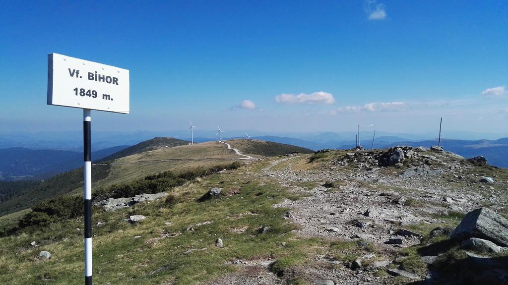 Pensiunea Piatra Mandrutului Scarisoara  Exteriér fotografie