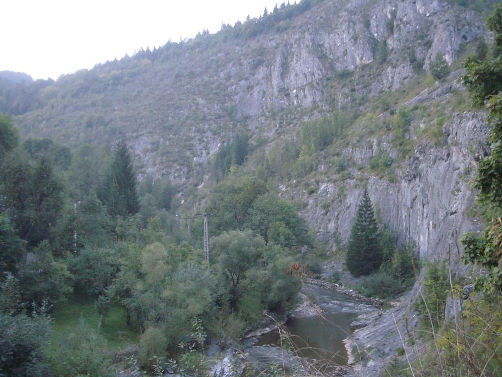 Pensiunea Piatra Mandrutului Scarisoara  Exteriér fotografie