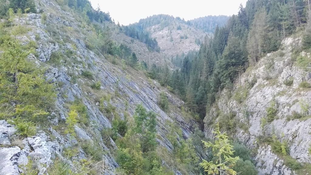 Pensiunea Piatra Mandrutului Scarisoara  Exteriér fotografie